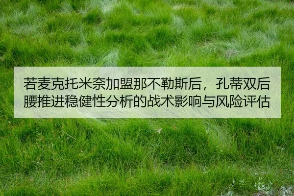 ruo-mai-ke-tuo-mi-nai-jia-meng-na-bu-le-si-hou-kong-di-shuang-hou-yao-tui-jin-wen-jian-xing-fen-xi-de-zhan-shu-ying-2-635.jpg