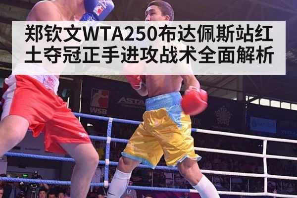郑钦文WTA250布达佩斯站红土夺冠正手进攻战术全面解析